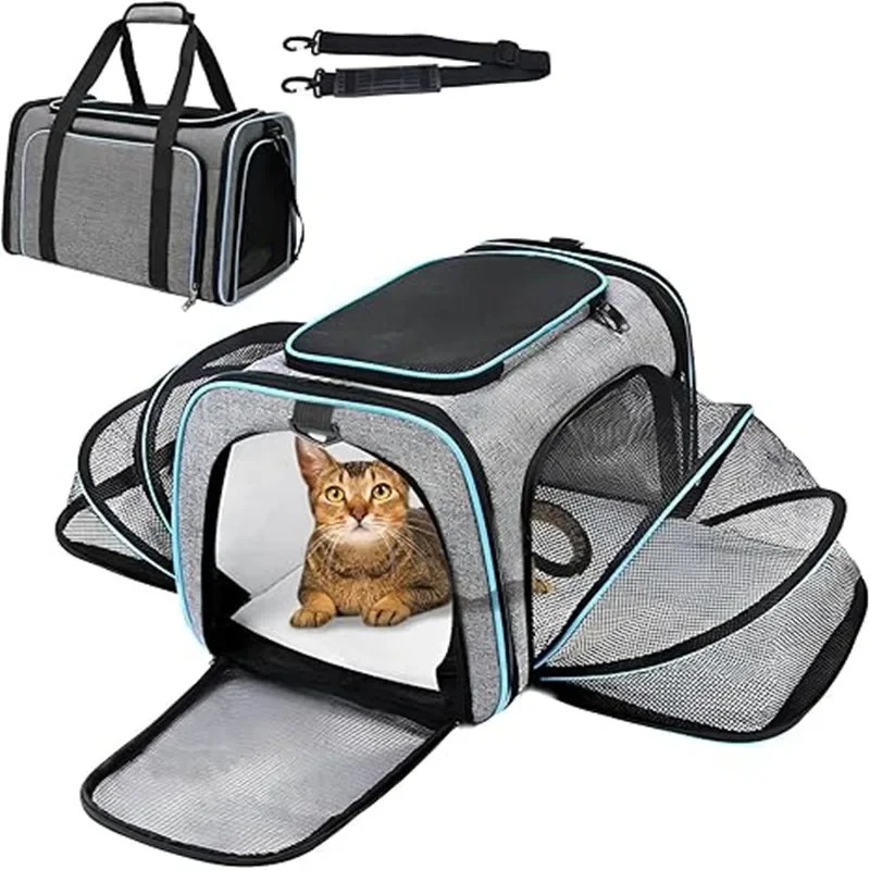 Draagbare, ademende, opvouwbar - Foldable Backpack Small recensie en prijs